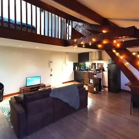 Apartment Jungle House