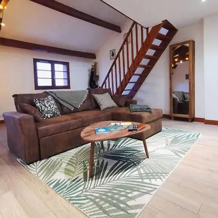 Apartment Jungle House