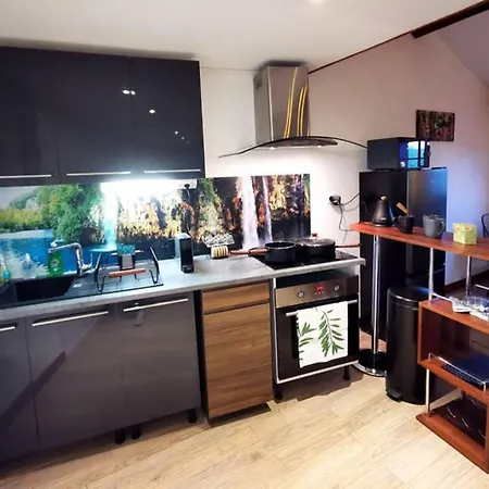Apartment Jungle House